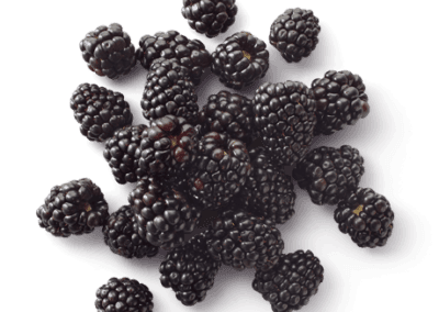 Berries & IQF fruits