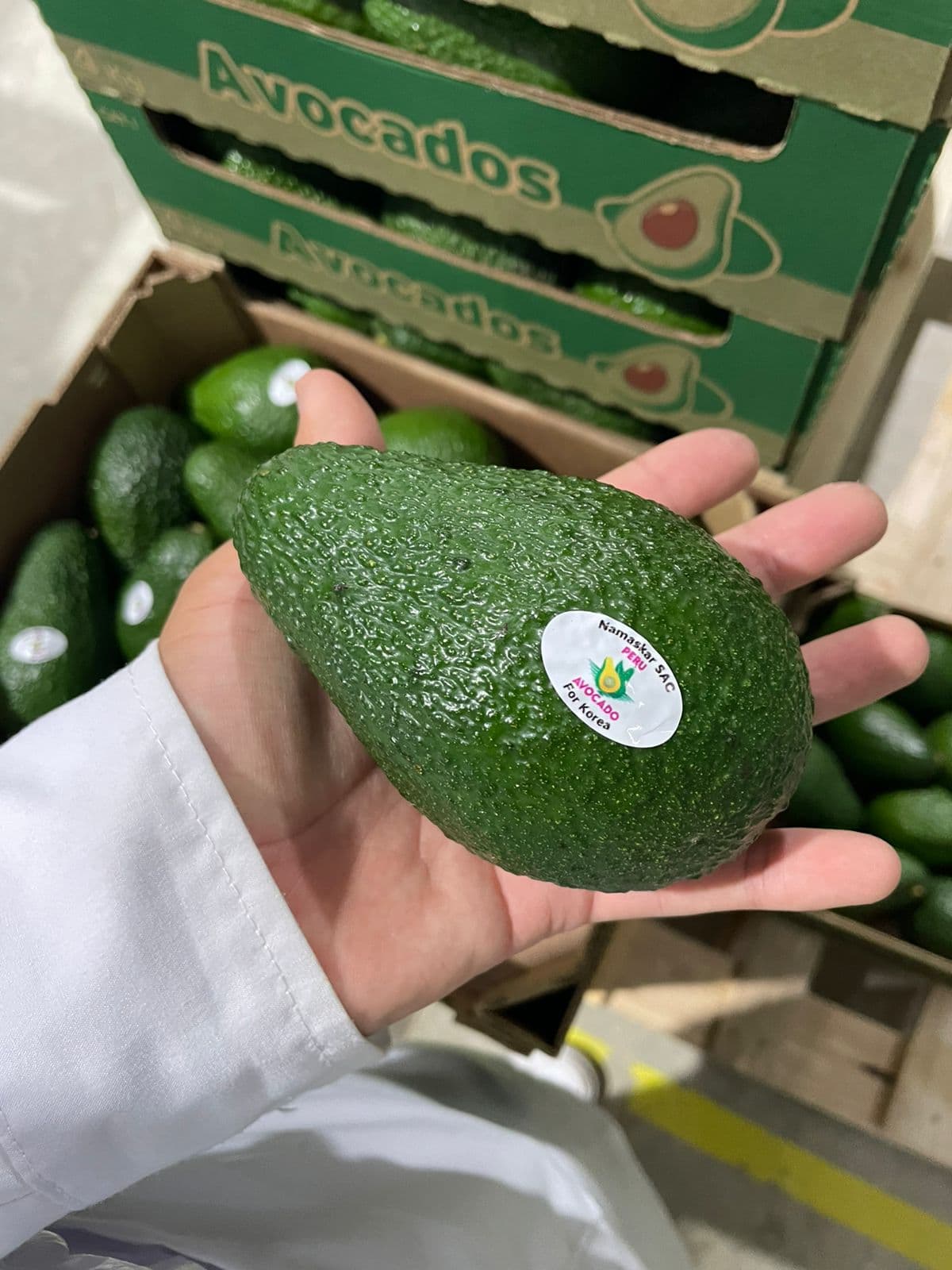 Fresh Fruits