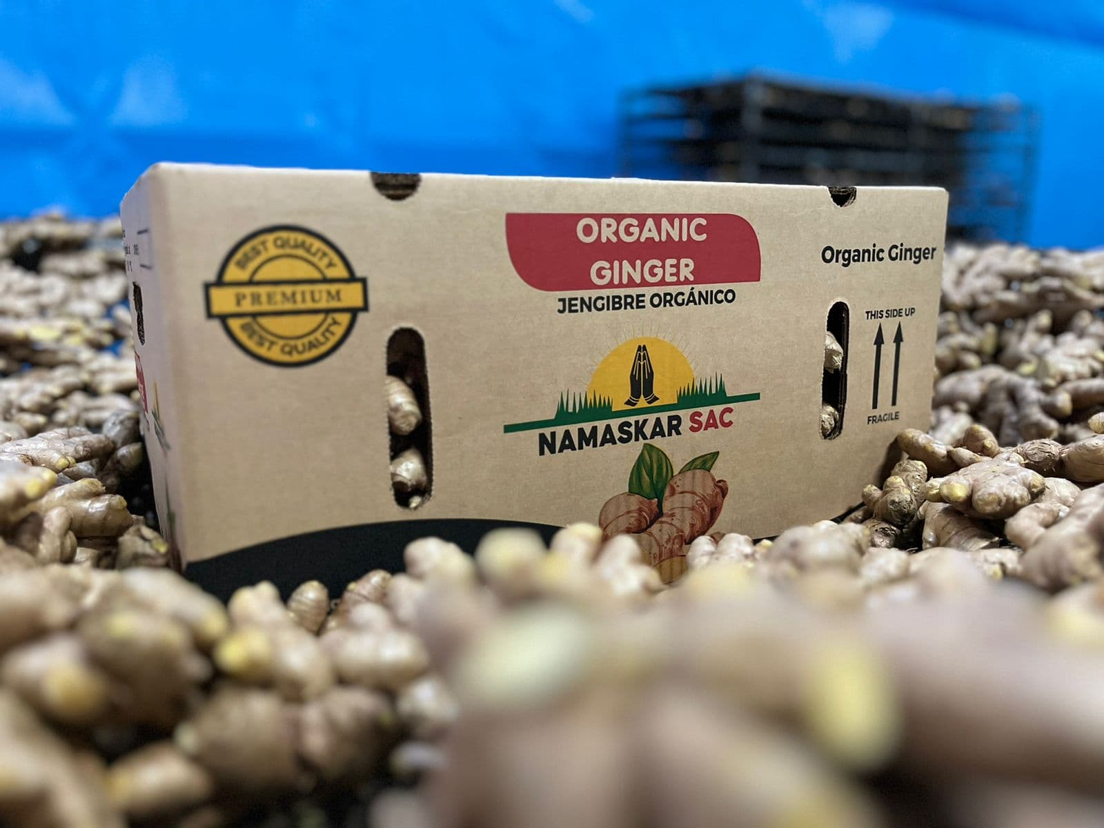 Fresh Ginger, Garlic & Turmeric