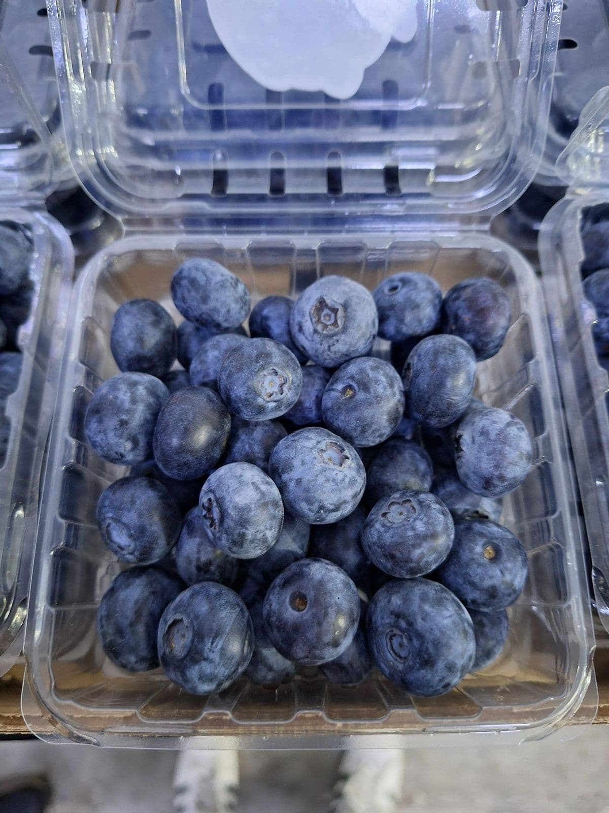 Blueberries