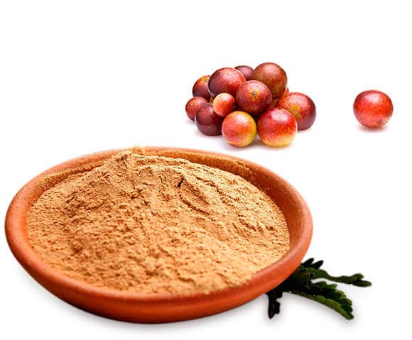 Peruvian Camu Camu Powder (o Organic Camu Camu Powder)