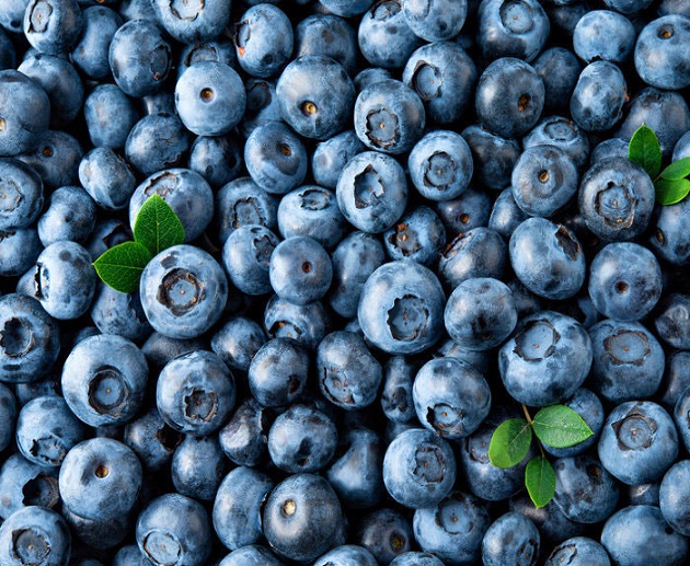 Products Details Blueberry.html